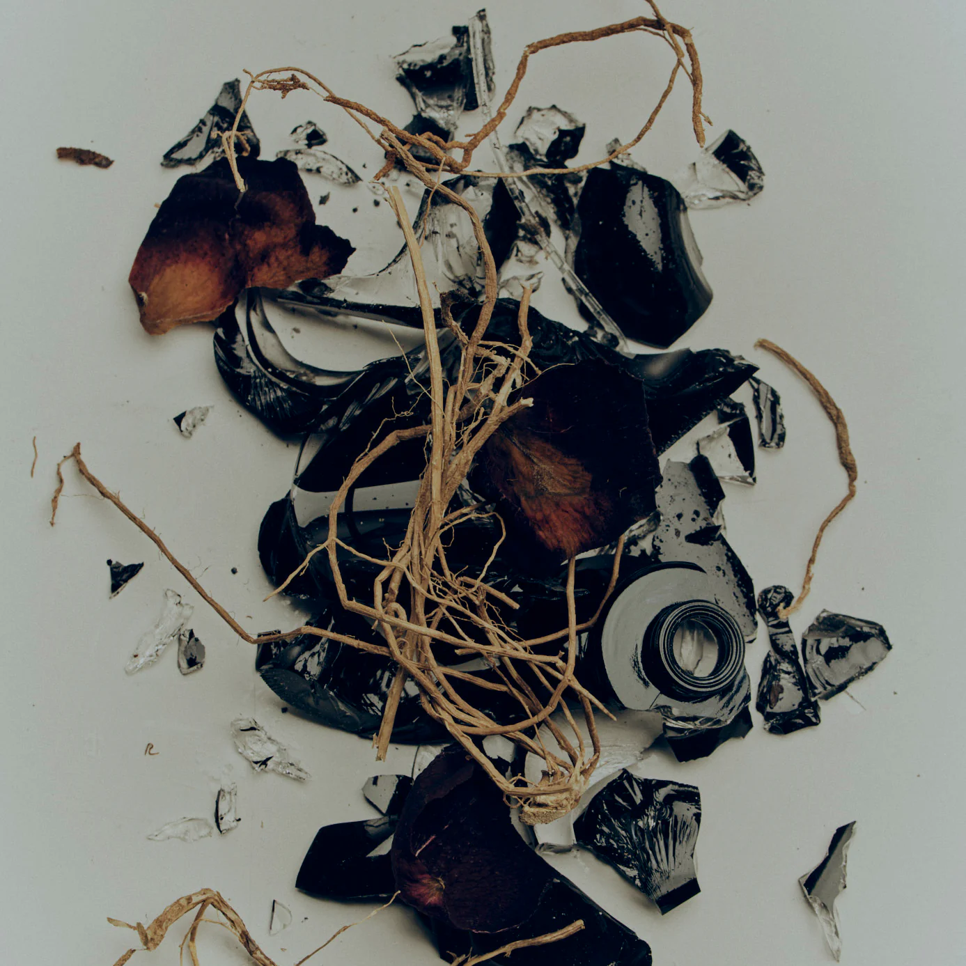 Miniatuur 4