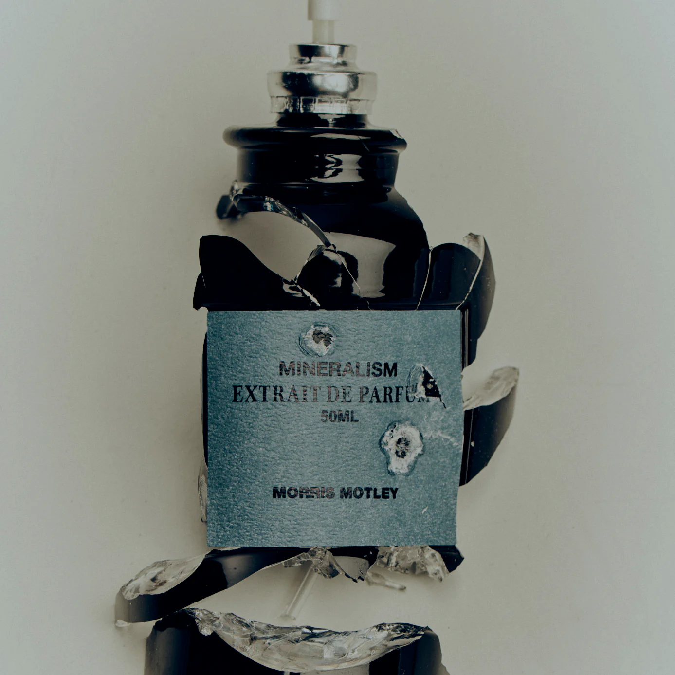 Miniatuur 4