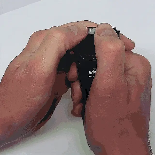 Miniatuur 4